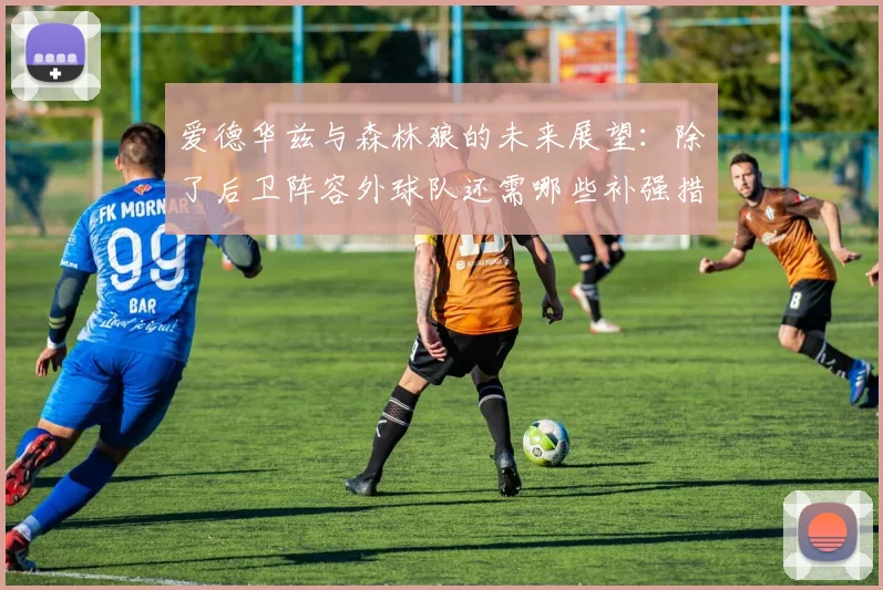 爱德华兹与森林狼的未来展望：除了后卫阵容外球队还需哪些补强措施