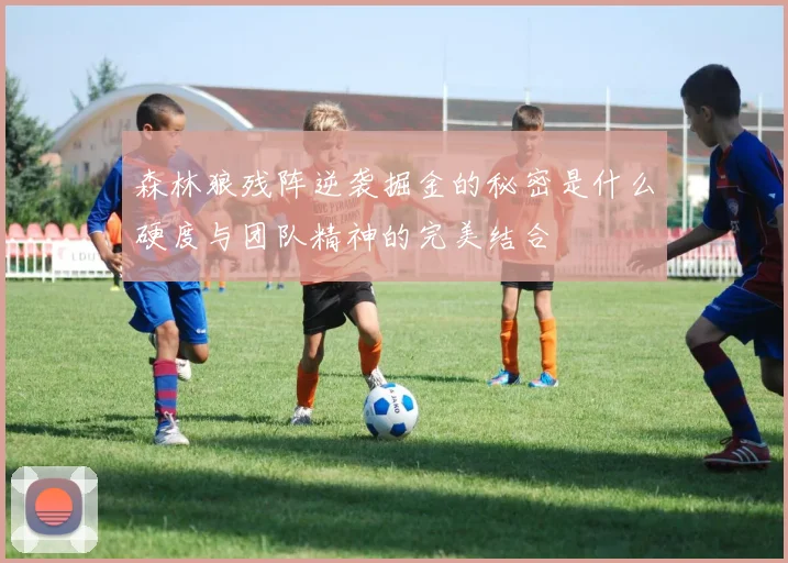 森林狼残阵逆袭掘金的秘密是什么硬度与团队精神的完美结合